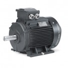 180Z0066 Electrical Motor IEC 132