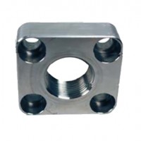 180B0096 Fire Fighting Pump Port Adapter